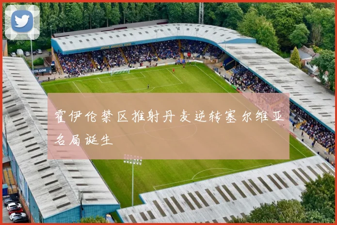 霍伊伦禁区推射丹麦逆转塞尔维亚名局诞生