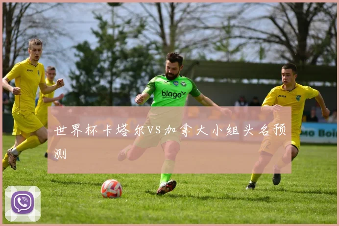 世界杯卡塔尔vs加拿大小组头名预测