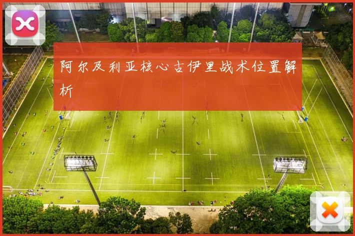 阿尔及利亚核心古伊里战术位置解析