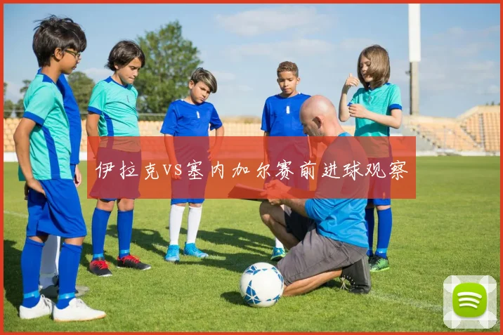 伊拉克vs塞内加尔赛前进球观察