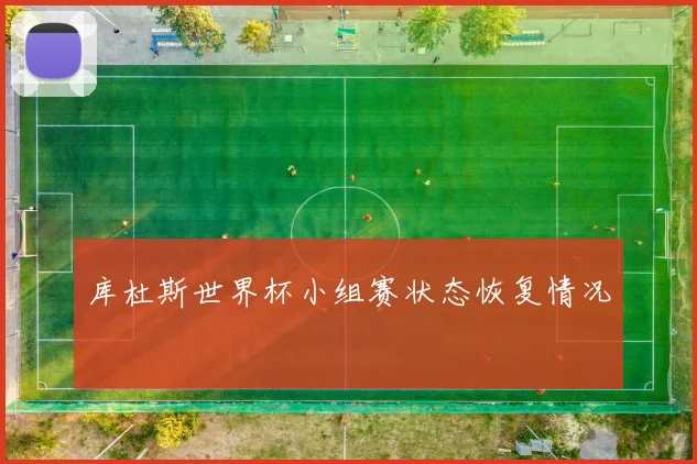 库杜斯世界杯小组赛状态恢复情况