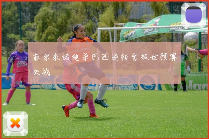 菲尔米诺绝杀巴西逆转晋级世预赛决战