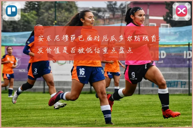 安东尼穆萨巴面对厄瓜多尔防线首发价值是否被低估重点盘点