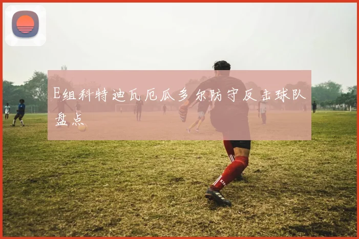 E组科特迪瓦厄瓜多尔防守反击球队盘点